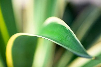 任天堂曾担心无双化会影响塞尔达传说IP名声